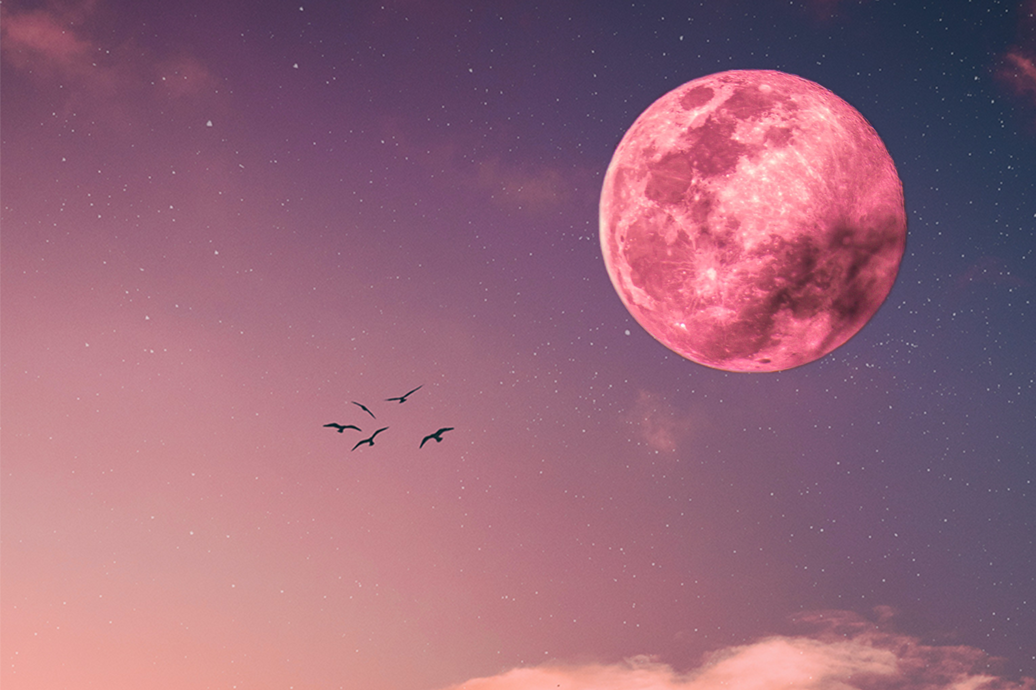 Pink full moon in light pink and purple night sky with birds flying across the stars.