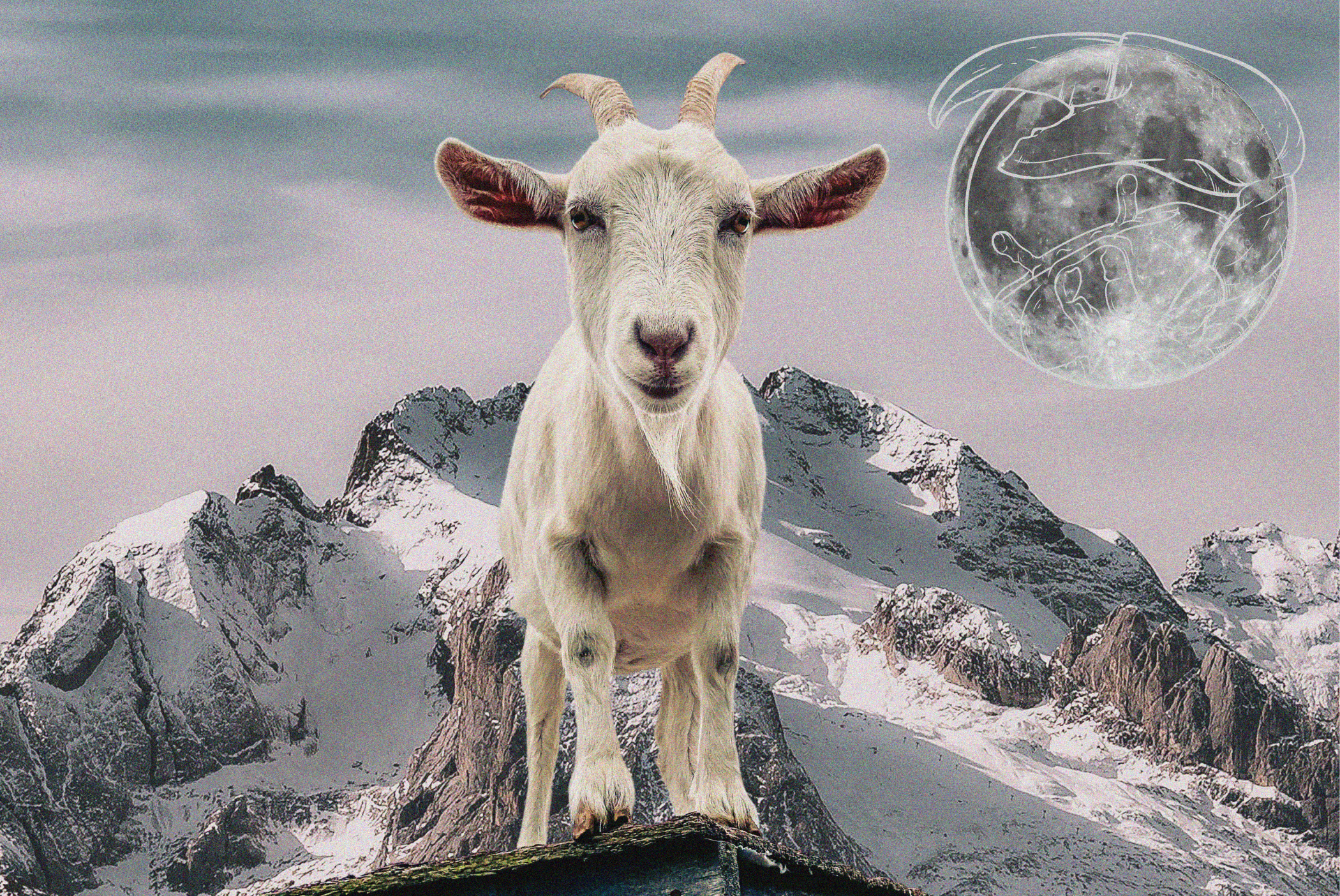 Goat on mountain with full moon in background