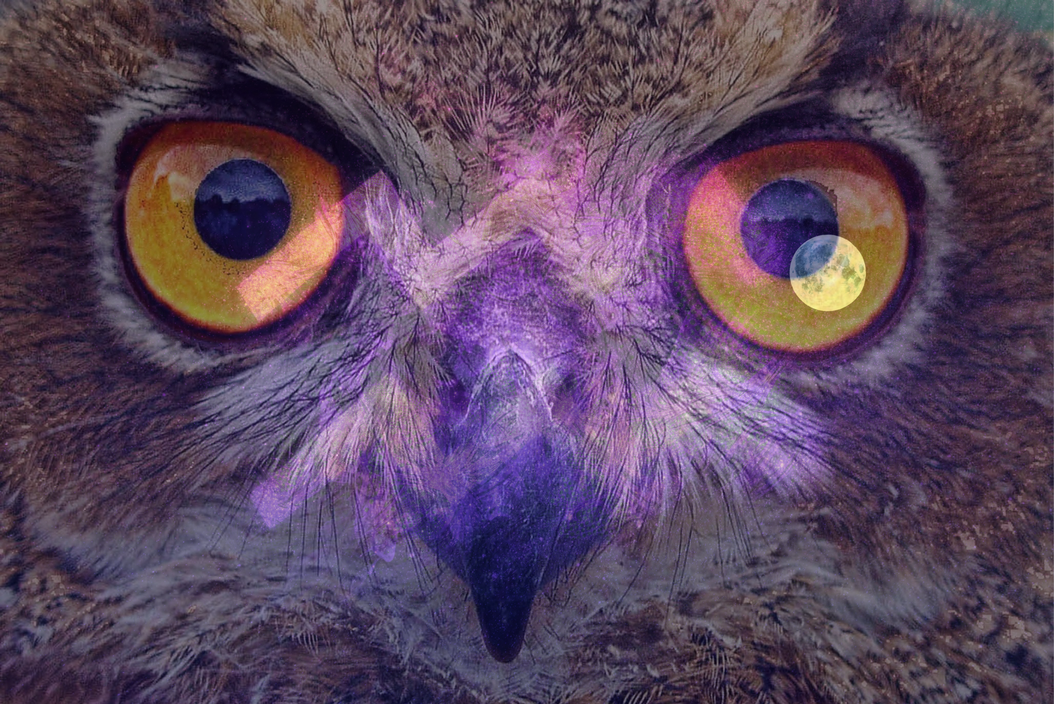 Owl eyes with a moon reflection and Aquarius symbol